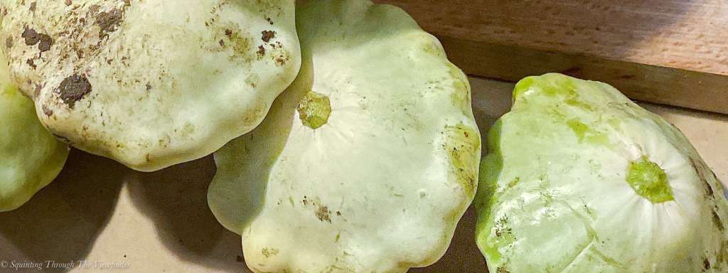 Patty Pans and Globe Courgettes