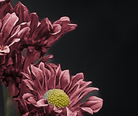 Dried Pink Flowers In Blue&nbsp;Vase