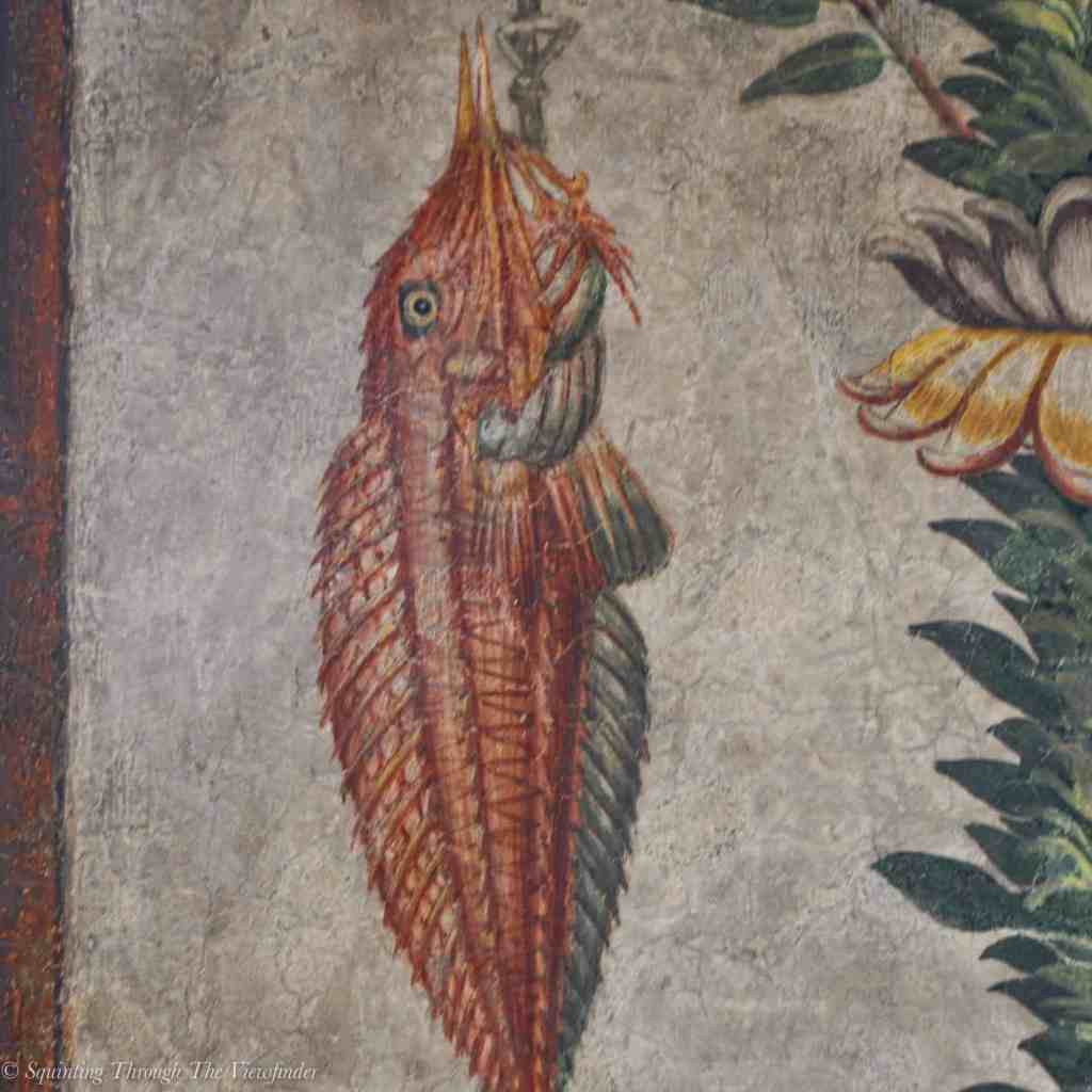 A Fishy Story
