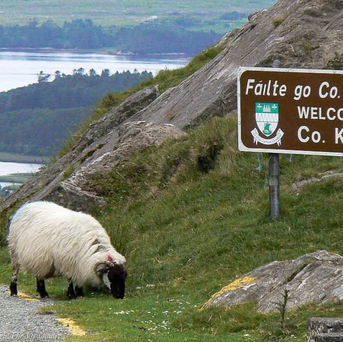 A Grand Tour Of Ireland